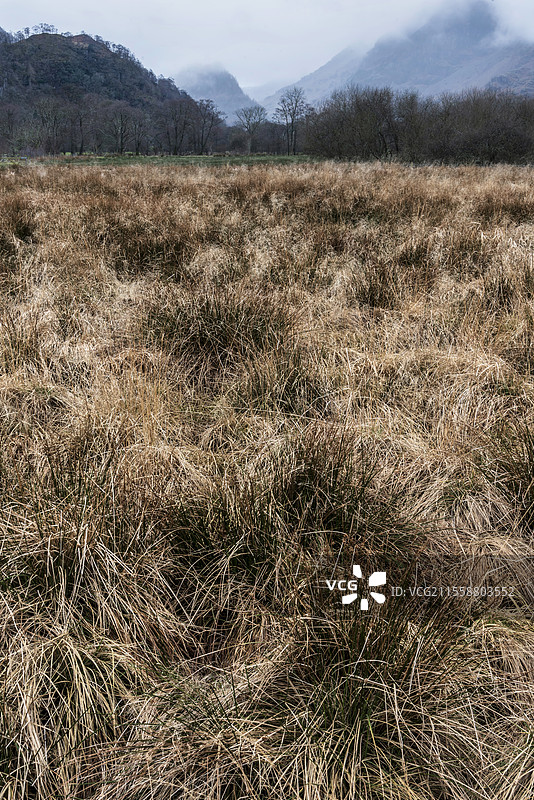 美丽的冬季早晨风景，视野穿过曼斯提公园，背景是城堡岩山。图片素材