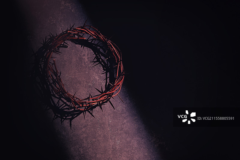 古墙上的近距离观察的荆棘冠图片素材