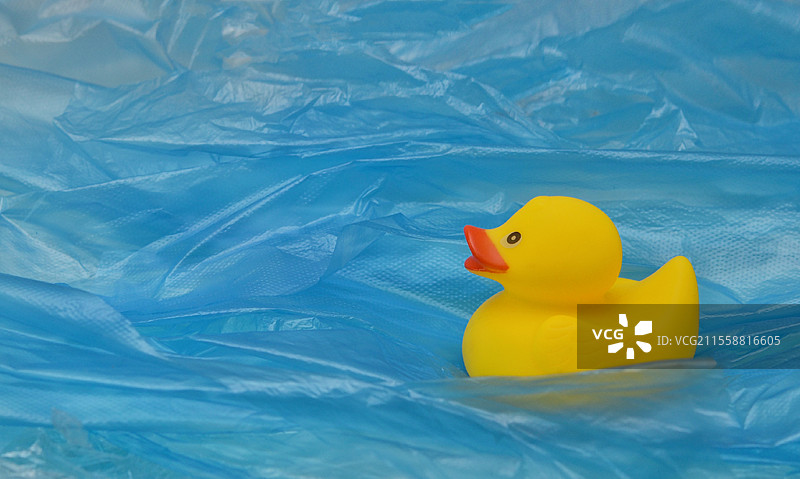 海洋塑料污染概念与黄色橡胶鸭玩具图片素材