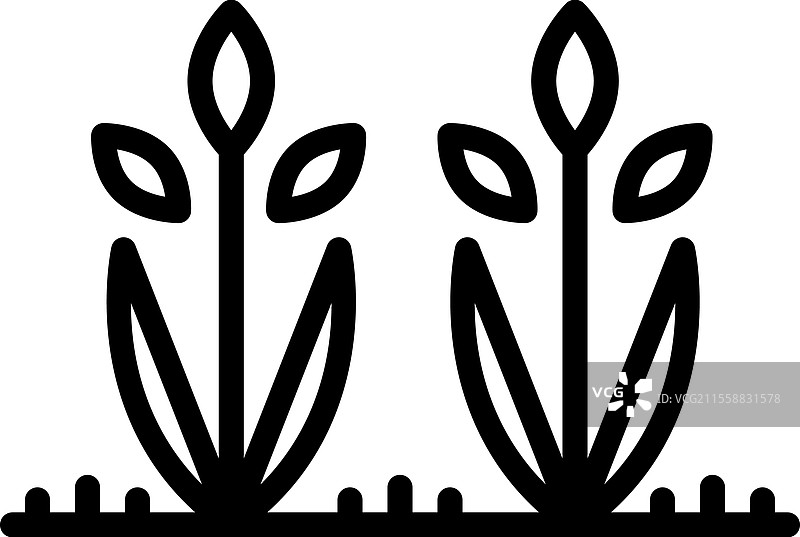 农作物图片素材