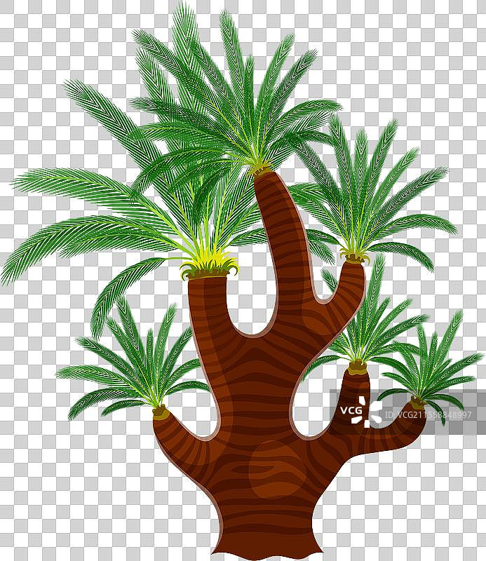 卡通丛林雨林树木热带植物图片素材