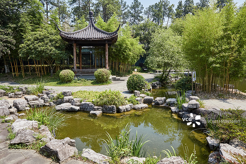 浙江省湖州市安吉县中国竹子博览园传统亭子风景图片素材