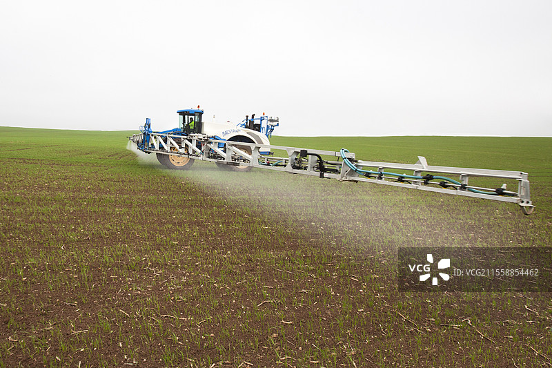 秋季小麦二叶期的抗草和阔叶喷洒。宽幅自走式喷雾器，法国图片素材