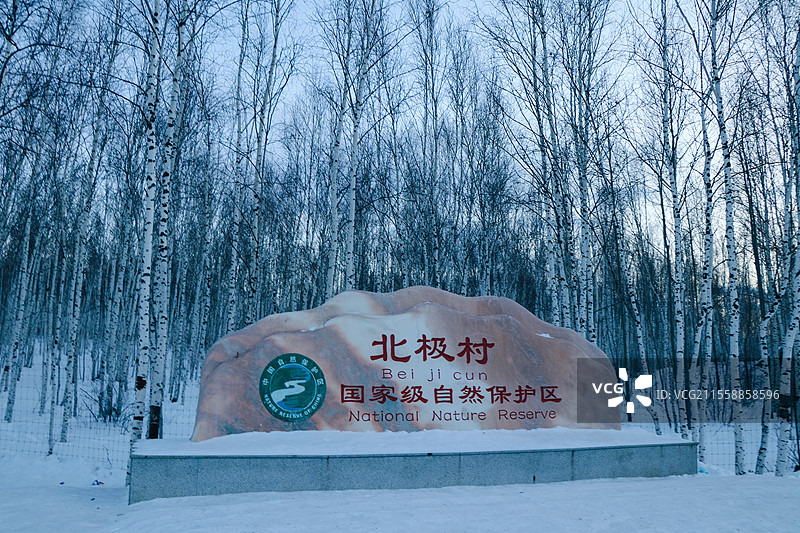 漠河北极村自然保护区白桦林图片素材