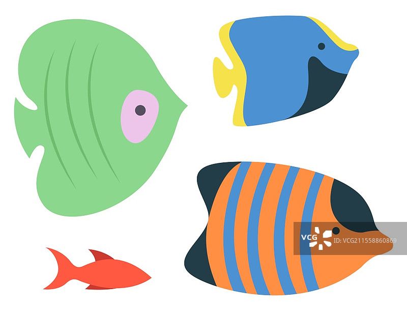 海洋鱼类物种，孤立的多彩水族箱栖息地。矢量条纹橙色、蓝色和绿色的海葵，游动的冷血动物生活在水箱中。海洋鱼类物种，孤立的水族箱栖息地。图片素材