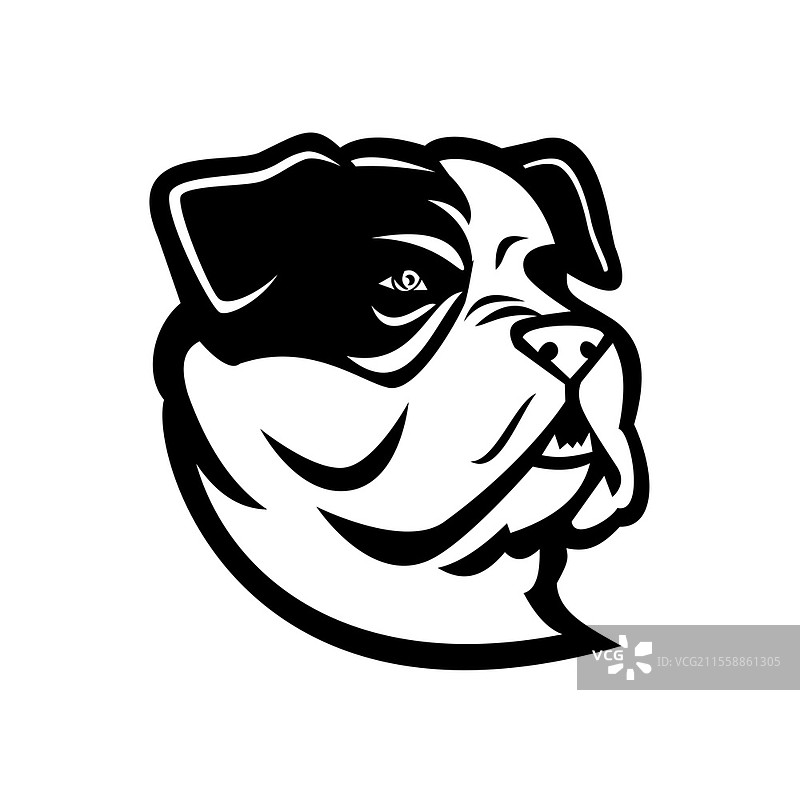黑白插图，侧面视角的美国斗牛犬头部吉祥物，属于多用途犬种，背景为孤立的复古风格。美国斗牛犬头部吉祥物黑白插图。图片素材