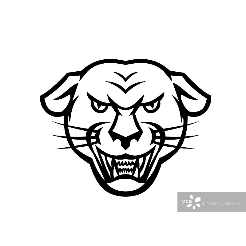 愤怒的黑豹头部露出獠牙的吉祥物图标插图，正面视角，背景为复古黑白风格。图片素材