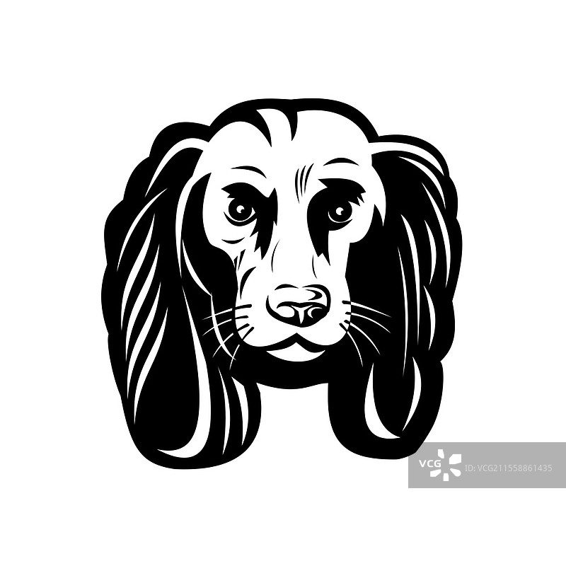 复古黑白风格的悲伤可卡犬头部插图，正面视角。图片素材
