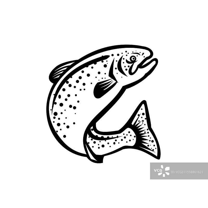 复古黑白风格的彩虹鳟鱼跃起插图，背景为纯白色。图片素材