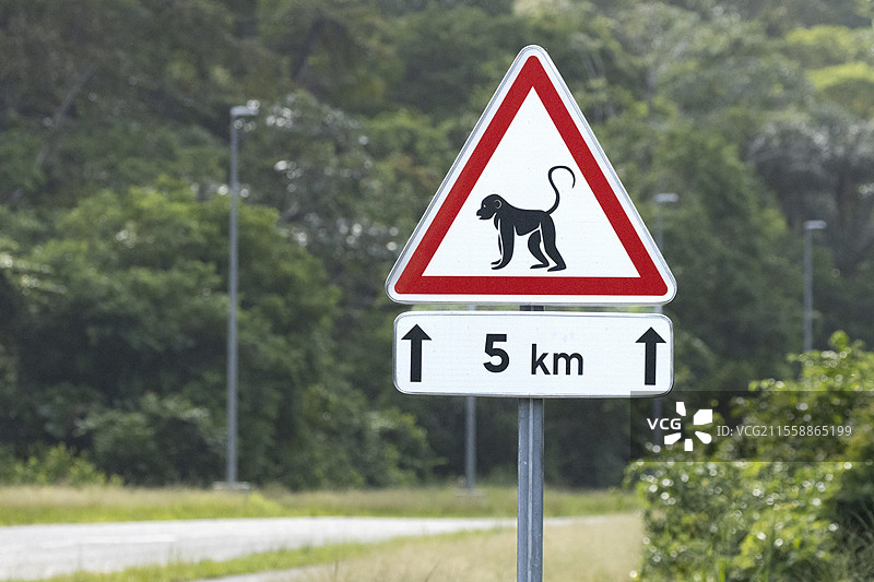 “注意猴子过马路”路标位于法属圭亚那的太空公路。法属圭亚那航天中心。图片素材