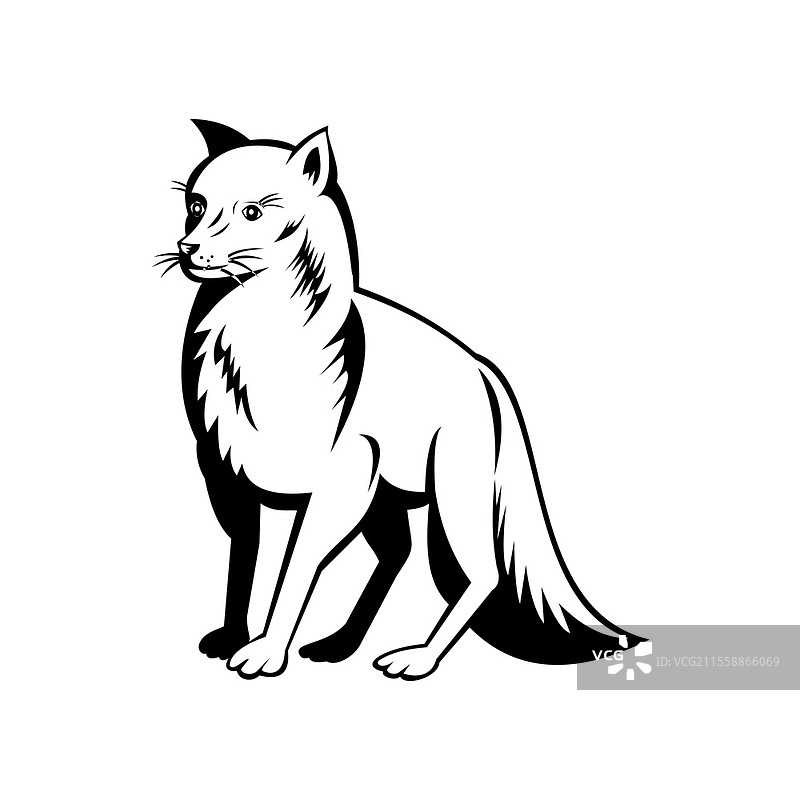 复古黑白风格插图，描绘了一只北极狐，也称为白狐、极地狐或雪狐，这是一种原产于北半球北极地区的小型狐狸，背景为孤立的图案。北极狐 侧面视图 复古黑白图片素材