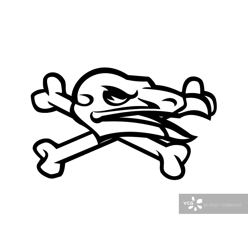 黑白色的吉祥物图标插图，展示了侧面视角的秃鹫头骨，包含交叉的骨头，背景为孤立的复古风格。加州秃鹫头骨与交叉骨骼的黑白吉祥物。图片素材