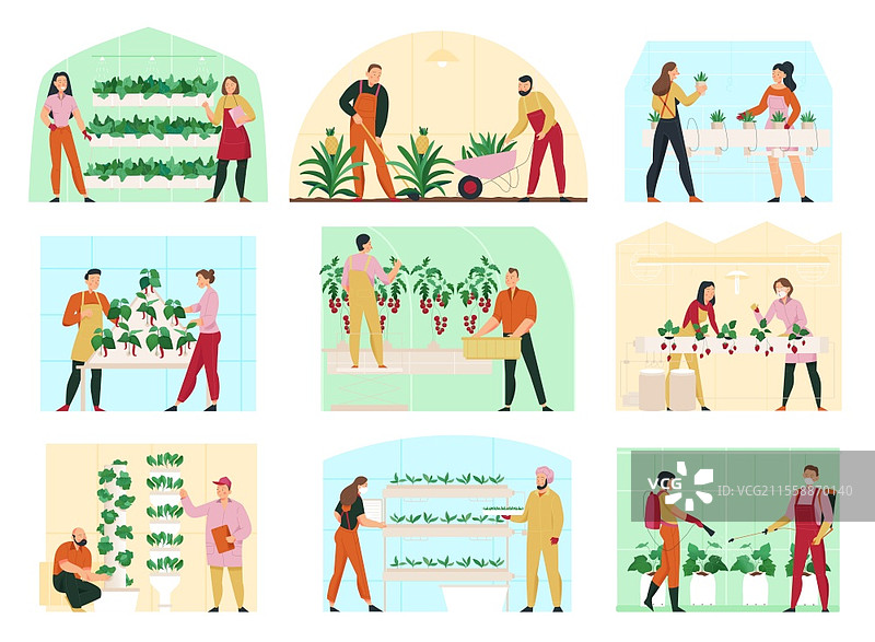 农业平面构图，男女在温室中照料植物，孤立的矢量插图图片素材