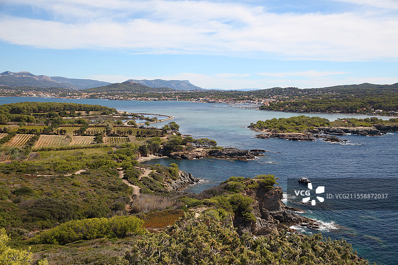 法国地中海的莱昂比耶岛上的葡萄园图片素材