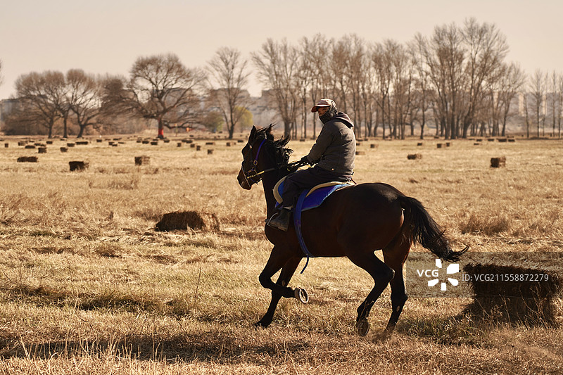 内蒙古包头赛汗塔拉——牧马人图片素材