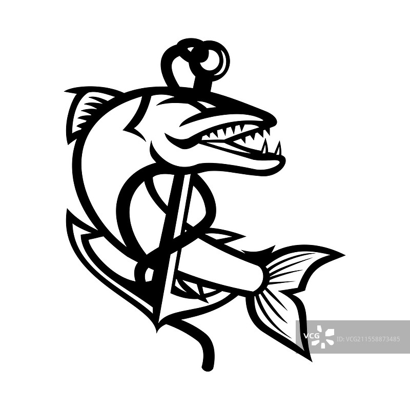 黑白插图的吉祥物，描绘了大梭鱼，这是一种外形像蛇、外观可怕且行为凶猛的海水鱼，缠绕在孤立背景中的海爪锚上，采用复古风格。吉祥物黑白插图的梭鱼缠绕着绳索和海爪锚。图片素材