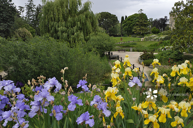 地理植物园，马蒂亚斯广场，沙隆-叙-索恩，索恩-卢瓦尔省，法国图片素材