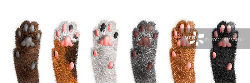 不同颜色的猫爪子图案，孤立在白色背景上，逼真的矢量插图图片素材