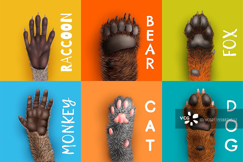 带标签的动物爪子的底部视图的逼真设计概念，背景色彩丰富，独立的矢量插图图片素材