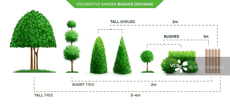 装饰性花园灌木与高大树木和矮灌木的远景构图矢量插图图片素材