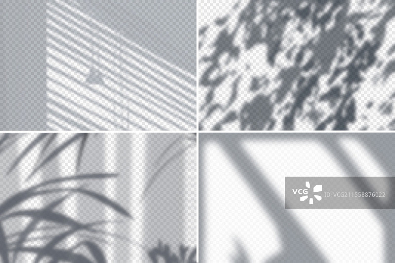 白墙上树叶和百叶窗的阴影，真实感插图，独立矢量图图片素材