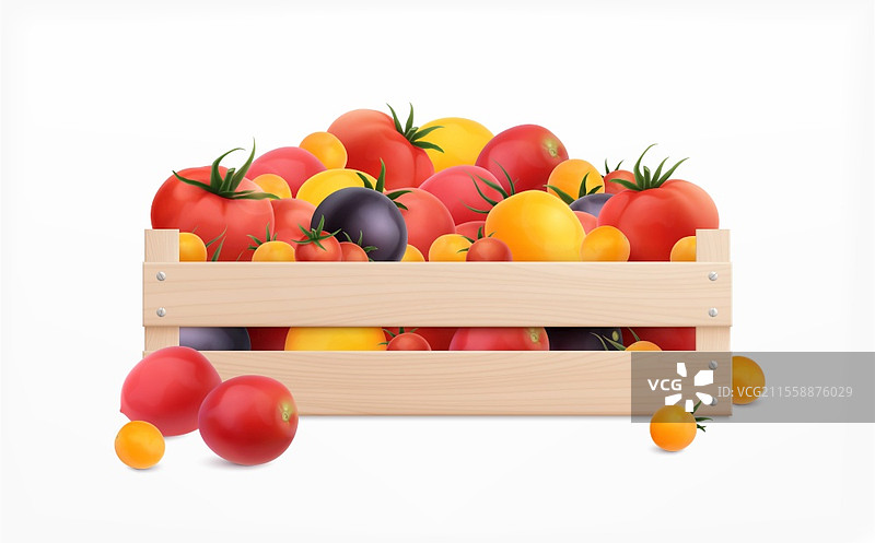不同种类和颜色的西红柿盒子现实概念矢量插图图片素材