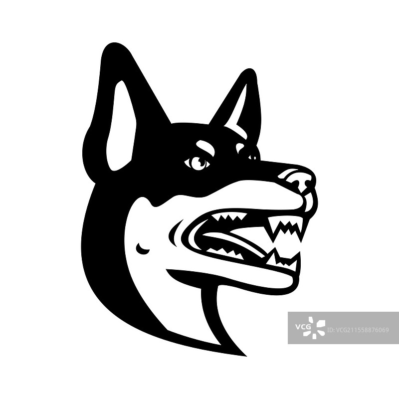 澳大利亚凯尔皮犬、凯尔皮犬、巴布犬或农场犬的吉祥物插图，侧面视图，背景为复古黑白风格。澳大利亚凯尔皮犬巴布犬或农场犬吉祥物黑白头像。图片素材