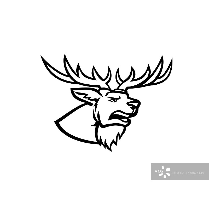 复古黑白风格的红鹿（Cervus elaphus）头部吉祥物插图，侧面视图，展示了这类最大鹿种之一的鹿角和咆哮，背景为孤立。图片素材