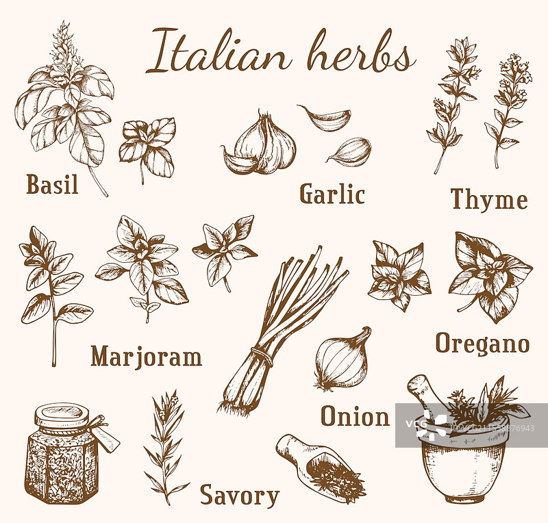 一套复古风格的手绘意大利香料和草药。图片素材