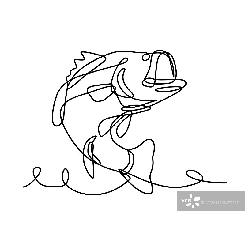连续线条绘制的黑鲈鱼插图，这是一种食肉淡水游戏鱼，正在跃起，采用素描或涂鸦风格。大口黑鲈跃起的连续线条绘制。图片素材