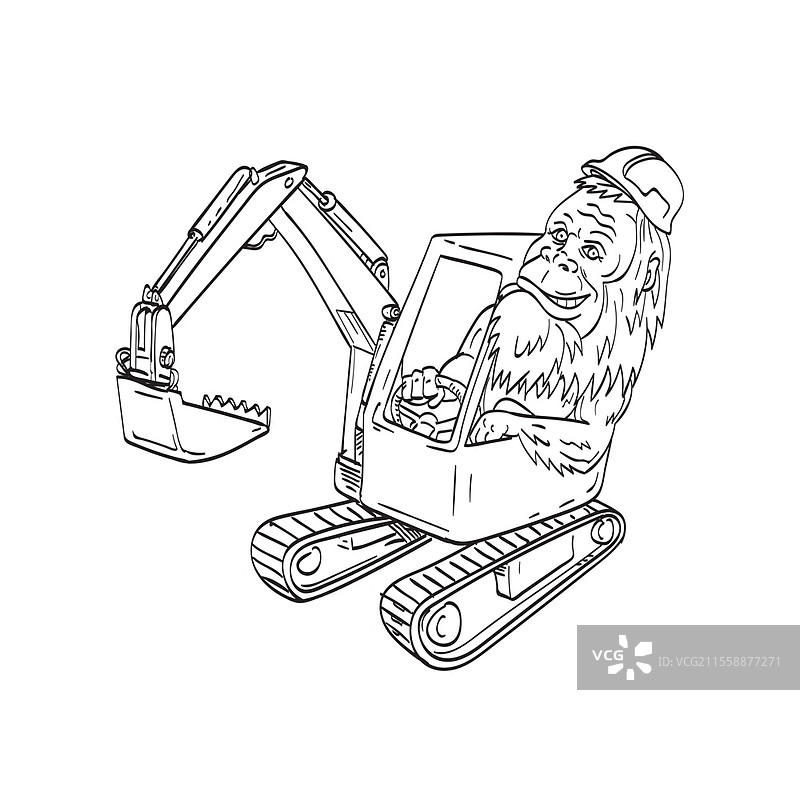 穿着安全帽的萨斯夸奇或大脚怪驾驶机械挖掘机的线条艺术插图，采用纹身风格的黑白画。图片素材