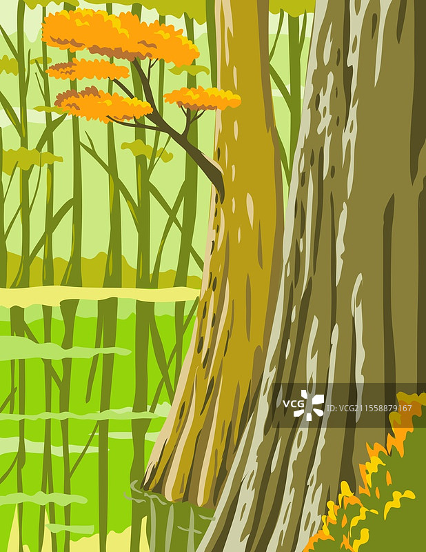 南卡罗来纳州康格里国家公园的WPA海报艺术，展示了广阔的古老底地硬木森林，采用工作项目管理局或联邦艺术项目风格。图片素材