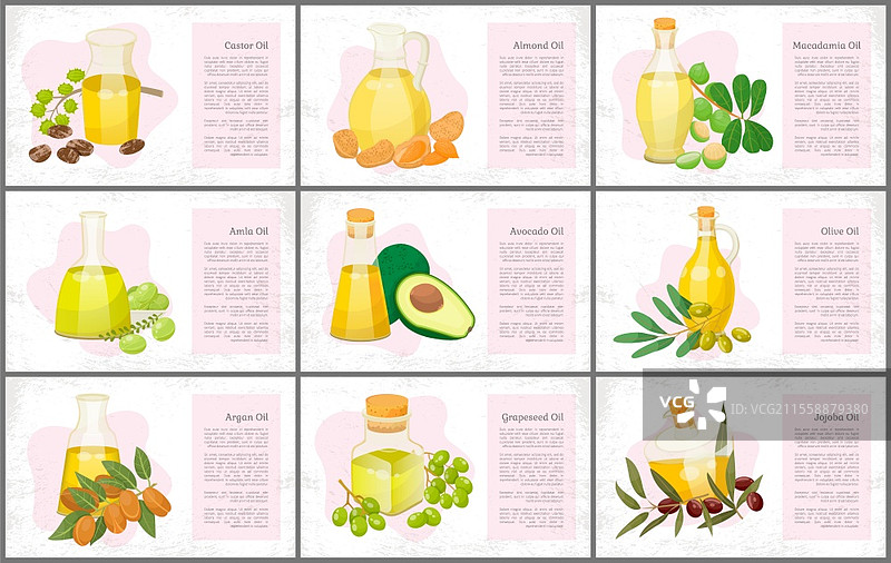 护发油横幅，植物和坚果，油性种子矢量图。护肤与头发健康，有机化妆品，蓖麻油和澳洲坚果。橄榄油和椰子油，鳄梨油和葡萄籽油，杏仁油和印度 gooseberry 插图。有机护发化妆品，自然油横幅。图片素材