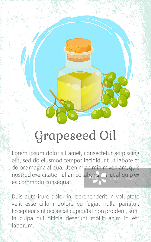 玻璃瓶中的葡萄籽油和一串绿色葡萄。带有文本模板的明信片，以及用于皮肤和头发护理的水果成分符号。白色背景上的有机产品和液体物体的卡片。葡萄和瓶装护发油明信片矢量图。图片素材