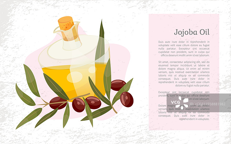 玻璃器皿中的金色液体，霍霍巴油。绿色叶子和棕色果核的树枝靠近玻璃瓶，容器。关于用于皮肤科和美容学的香料产品的信息。霍霍巴油在容器中的信息，液体。图片素材