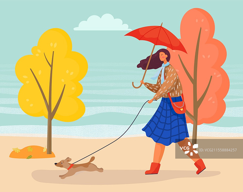 年轻女士在秋季公园里遛着她的宠物小狗。女人牵着活泼的狗狗，穿着温暖的衣服，还带着伞。树木披上了黄色和橙色的叶子。矢量插图。年轻女性在秋季公园里遛狗。图片素材