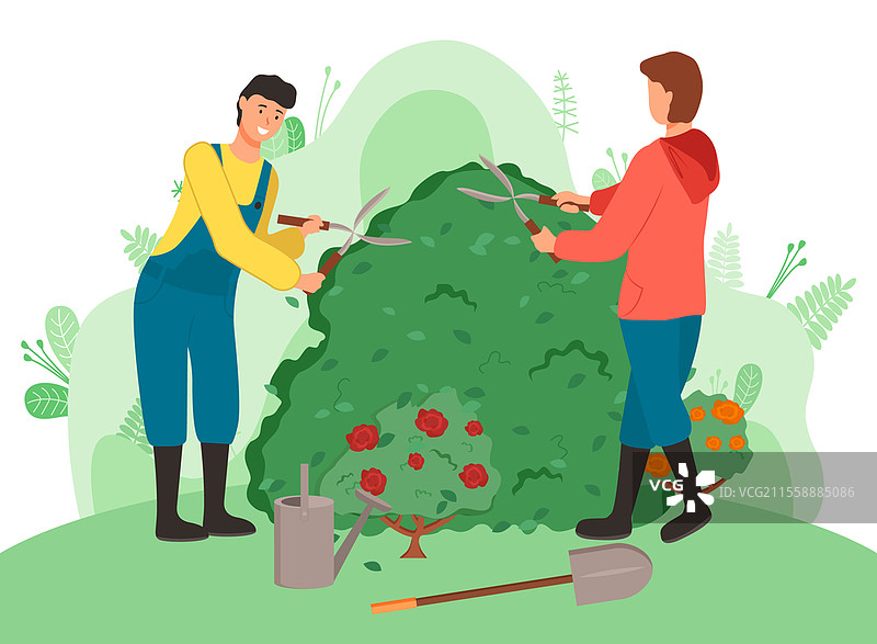 园丁修剪灌木的卡通矢量插图。农场工人使用园艺剪刀。男性角色使用灌木剪刀工作。夏季和春季的庭院季节性工作。园艺，农业。图片素材