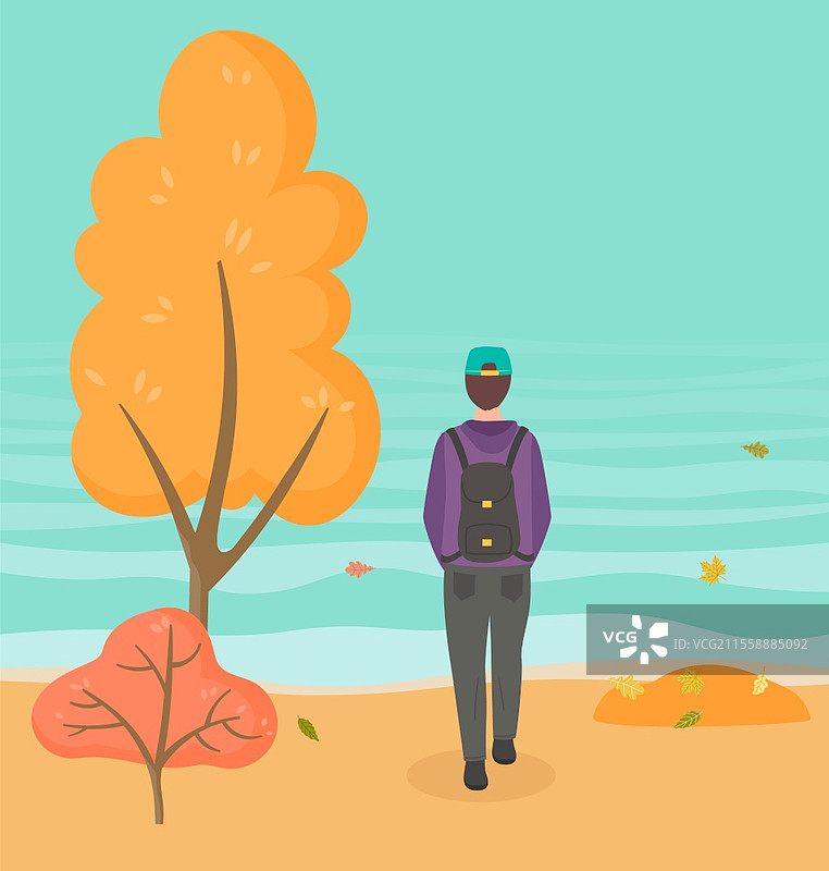 穿着休闲服装、戴着帽子的男子背着背包，在秋季户外的平面插图中行走。男子背影穿着运动夹克，双手插在口袋里，在城市公园中漫步，周围是黄色的树木。图片素材