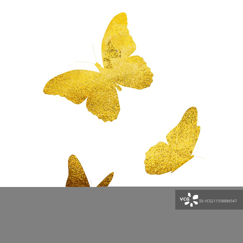 美丽的金色闪光蝴蝶剪影，独立于白色背景，矢量插图 EPS10。图片素材