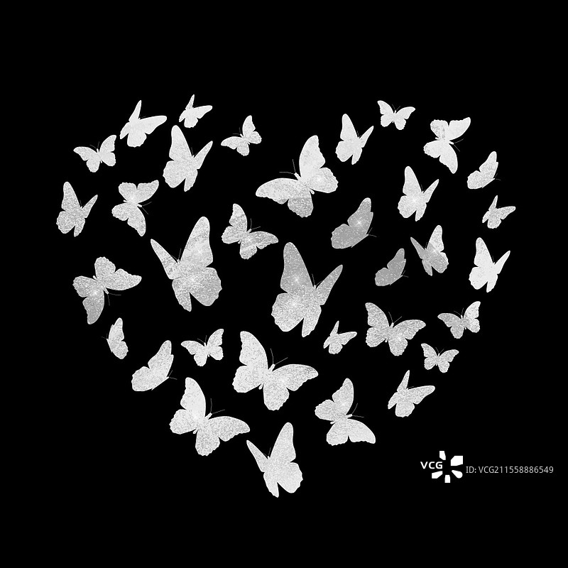美丽的蝴蝶银色心形剪影背景。情人节。矢量插图EPS10。图片素材