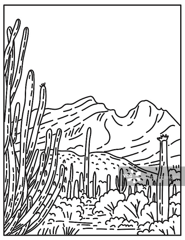 索诺兰沙漠中位于美国亚利桑那州极南部的管风琴仙人掌国家纪念碑的单线插图，采用复古黑白单线艺术风格。图片素材