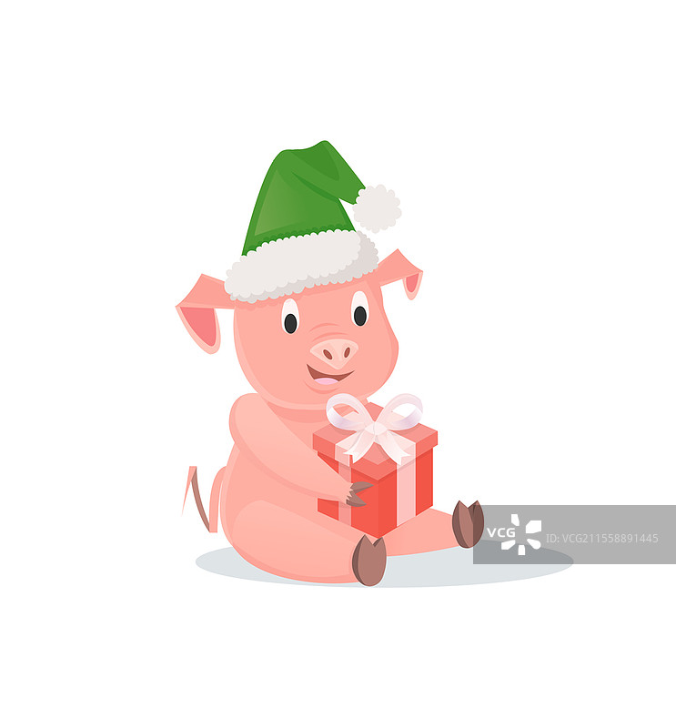 戴着节日帽子的礼品盒猪，适合新年或圣诞节。家畜与礼物，庆祝与祝贺，生肖符号矢量插图。戴着礼品盒的猪，适合新年或圣诞节。图片素材