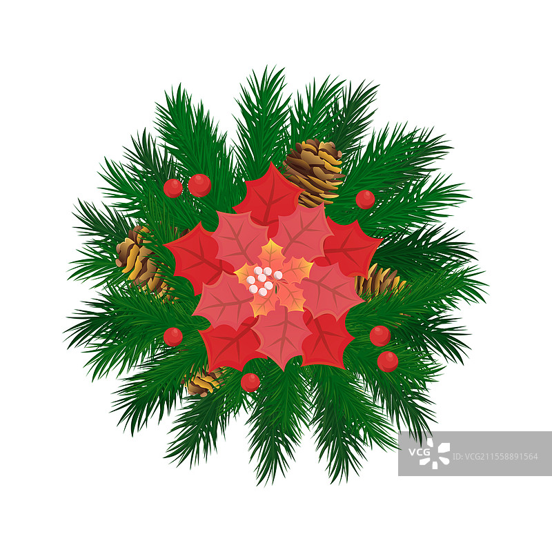 带有浆果和红叶的针叶树枝，搭配松果。现实风格的圣诞装饰小枝，带有山楂浆果，独立于白色背景的矢量图。针叶树枝与浆果和松果的矢量图。图片素材