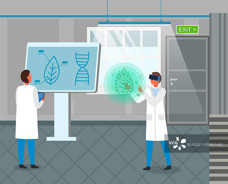 实验室工作人员探索植物育种和蔬菜农业遗传的新方法。科学家佩戴虚拟现实眼镜。工程师查看带有DNA元素和叶子的板子。科学家研究叶子的DNA，工程师佩戴虚拟现实眼镜，农业遗传。图片素材