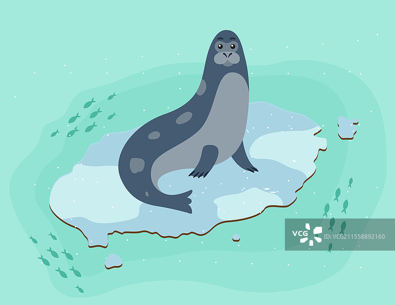 蓝色背景上的斑点海豹。海洋动物坐在冰块上。鱼在动物周围的水中游动。海豹卡通矢量插图。南极洲的景观和动物。蓝色背景上的海豹。海洋动物坐在冰块上，周围环绕着鱼。图片素材