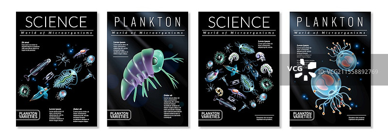 浮游生物种类主题的四张海报，作为杂志文章、宣传册和书籍封面的模板，矢量插图。浮游生物海报套装图片素材
