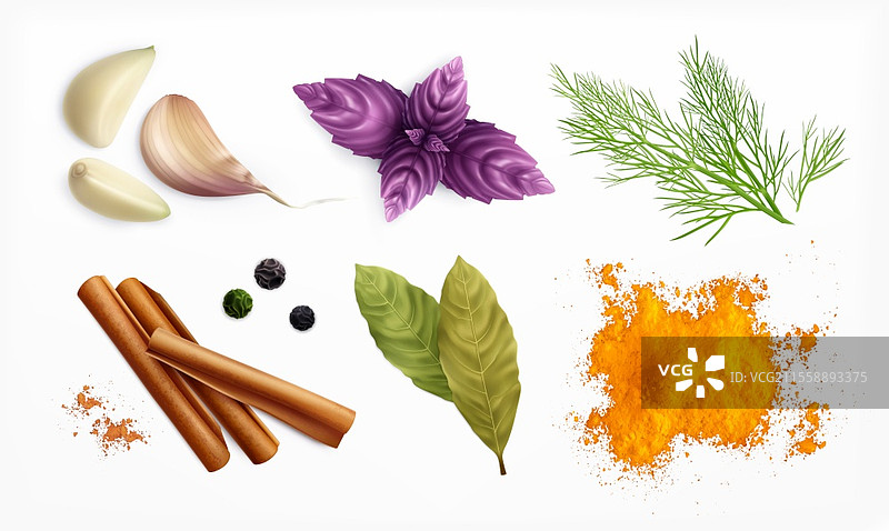 香料和草药的真实组合，包括咖喱粉、大蒜瓣、黑胡椒粒、肉桂卷、月桂叶和罗勒叶，孤立的矢量插图。香料和草药真实组合图片素材
