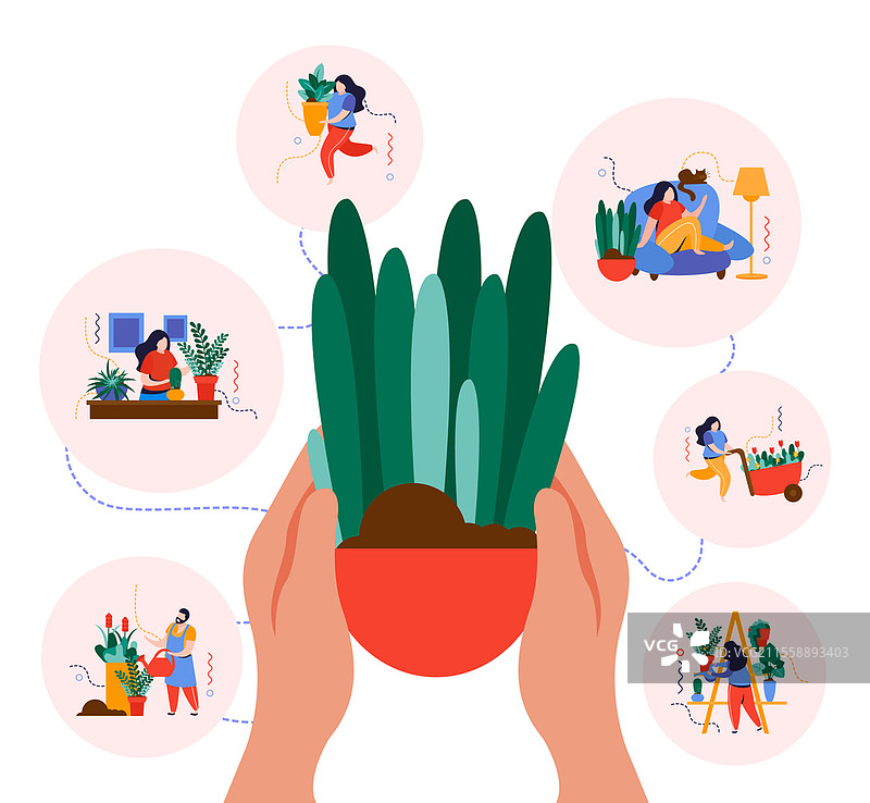 家居花园概念，室内植物与室内环境的扁平矢量插图。家居花园概念图片素材