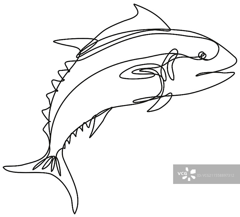 蓝鳍金枪鱼侧面跳跃的连续线条绘图插图，采用黑白单线或涂鸦风格，背景为单色。图片素材