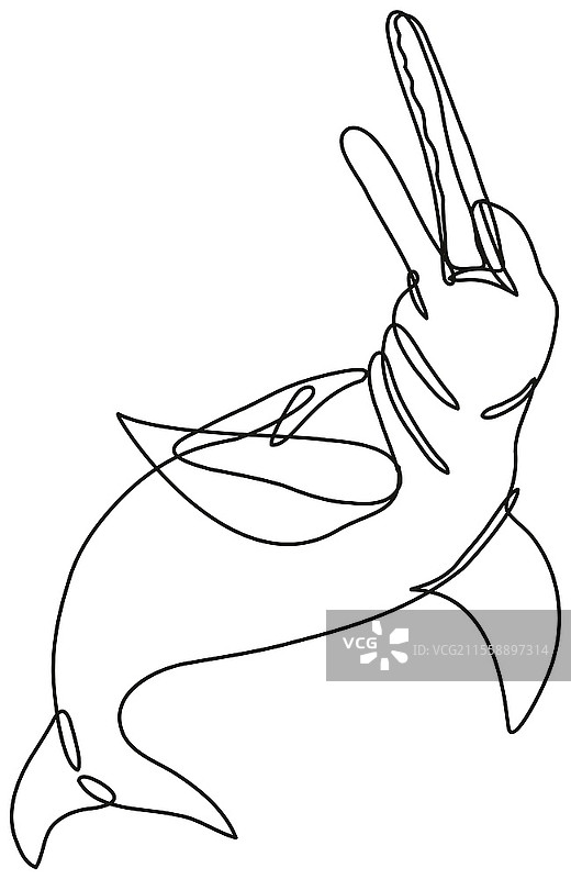 亚马逊河豚或巴西海豚的连续线条绘画插图，采用黑白单线或涂鸦风格，背景为单色。亚马逊河豚或巴西海豚 Inia Geoffrensis 连续线条绘画。图片素材